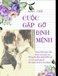 Cuộc Gặp Gỡ Định Mệnh - Lee