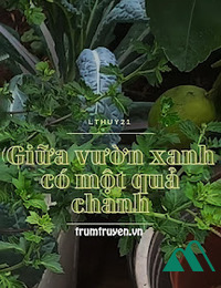 Giữa Vườn Xanh Có Một Quả Chanh