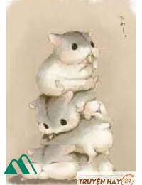 Hamster Nhỏ Nhà Thầy Giáo Tiêu