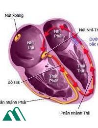 Hệ Thống Truy Cầu Kích Thích