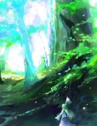 The Lost Song Of Light Forest