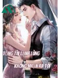 Tổng Tài Lạnh Lùng Không Nhận Ra Tôi