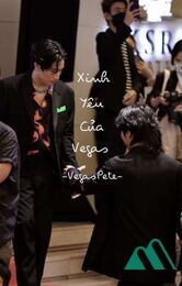 Xinh Yêu Của Vegas - Vegaspete