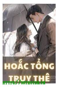 Hoắc Tổng Truy Thê