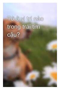 Vị Trí Trong Tim